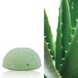 Eponge de Konjac Aloe Vera thumbnail