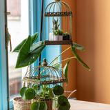 Lot 2 Cages à Oiseaux en métal vieilli thumbnail