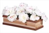 AXI Bac a fleurs en bois de cèdre thumbnail