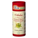 Tribulus 60 gélules Ayur-Vana thumbnail