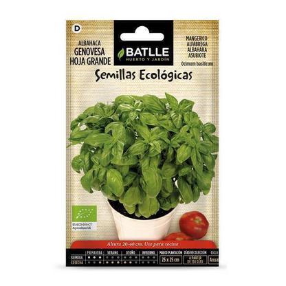 Graines de basilic Grand vert bio