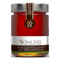 Miel d'eucalyptus Espagne 900g