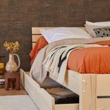 Drap housse percale bio Elise CAMIF thumbnail