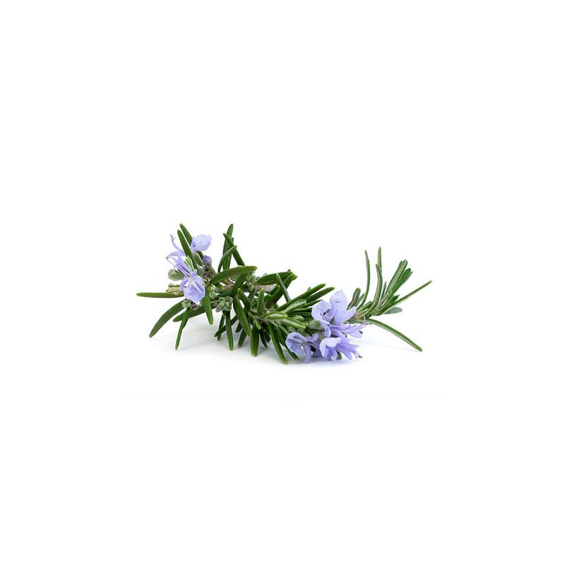 ROMARIN À VERBENONE - Hydrolat BIO - 200mL thumbnail