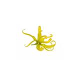 YLANG YLANG III - Huile essentielle BIO - 10mL thumbnail