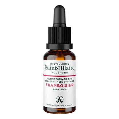 Macérat de Framboisier BIO 30ml