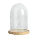 Cloche en verre avec pince 25cm thumbnail