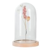 Cloche en verre avec pince 25cm thumbnail