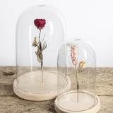 Cloche en verre avec pince 31cm thumbnail