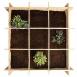 Potager un mètre carré en bois FSC thumbnail
