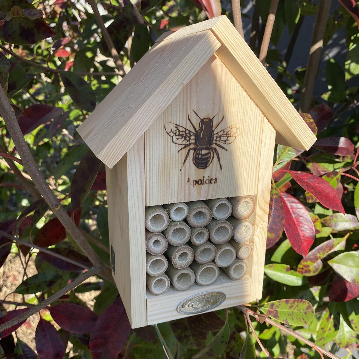 Abri Abeilles thumbnail