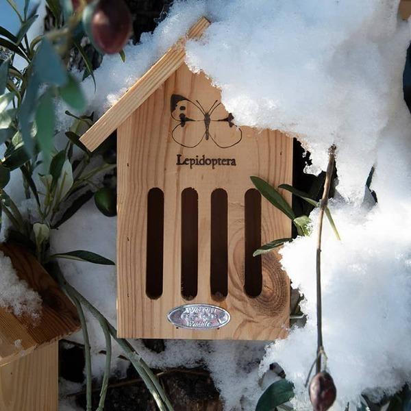 Abri Abeilles thumbnail