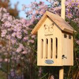 Abri Abeilles thumbnail