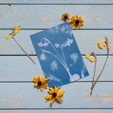 DIY Papier photo solaire A5 thumbnail