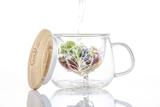 Tisanière revitalisante Flaska Angelica 0,3L thumbnail