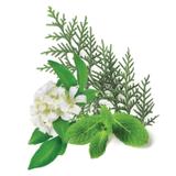 Parfum pour savon - Réveil tonique 27 ml thumbnail