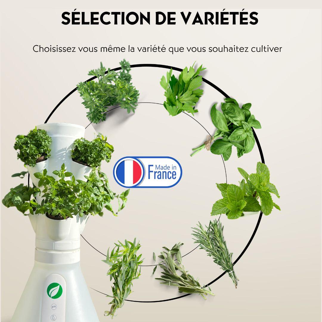 HomePotager  Colonne Aromatique, 6 Plants,  Intérieur thumbnail