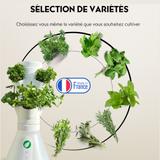 HomePotager  Colonne Aromatique, 6 Plants,  Intérieur thumbnail