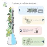 HomePotager  Colonne Aromatique, 6 Plants,  Intérieur thumbnail