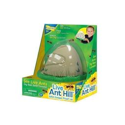 habitat pour fourmis