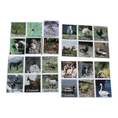 Loto Animaux thumbnail
