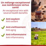 Thé noir - Chaï - Biologique - en vrac - 250g thumbnail
