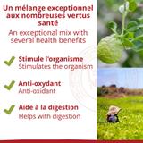 Thé noir - Earl Grey - Biologique - en vrac - 500g thumbnail