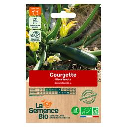 Graines de Courgette Black Beauty