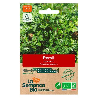 Graines de Persil Commun