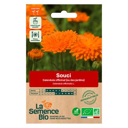 Graines de Souci des Jardins Calendula