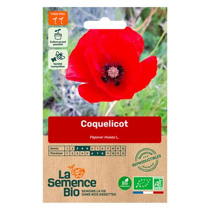 Graines de Coquelicot des Champs