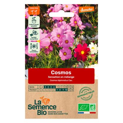 Graines de Cosmos Sensation en mélange