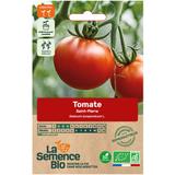 Graines de Tomate Saint-Pierre bio thumbnail