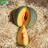 MELON Petit gris de Rennes - Graines Bio thumbnail