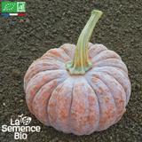 COURGE Futsu Black - Graines Bio thumbnail