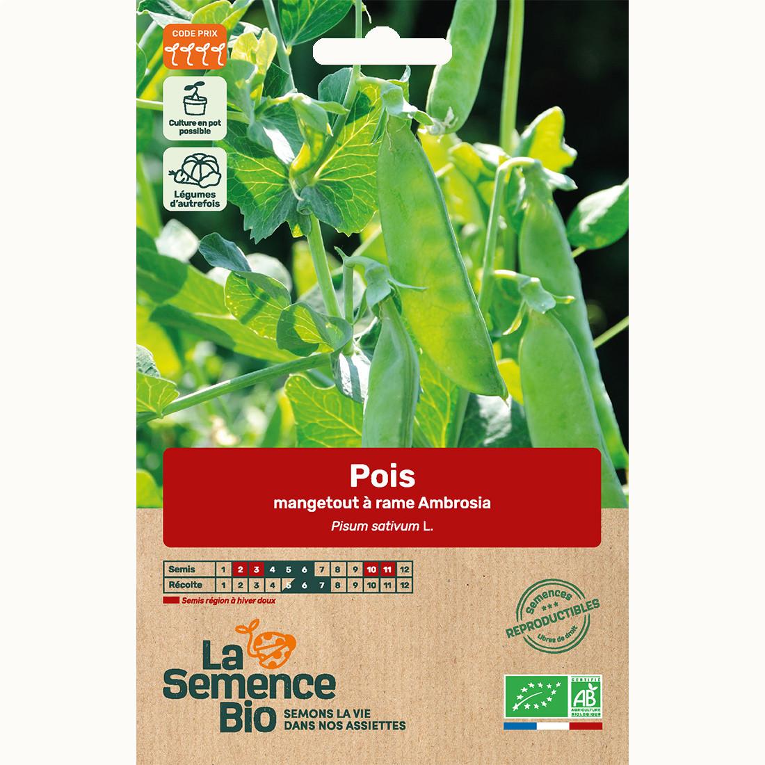 POIS mangetout à rame Ambrosia - Graines Bio thumbnail