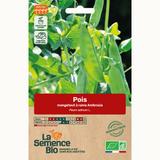POIS mangetout à rame Ambrosia - Graines Bio thumbnail