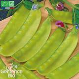 POIS mangetout à rame Ambrosia - Graines Bio thumbnail