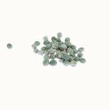 POIS mangetout à rame Ambrosia - Graines Bio thumbnail