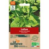 Graines de Laitue romaine Parris Island bio thumbnail