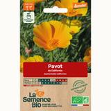 PAVOT de Californie - Graines Bio thumbnail