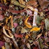 tisane circulation bio 50g thumbnail