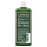 Shampoing Brillance à l'Ortie 250ml thumbnail