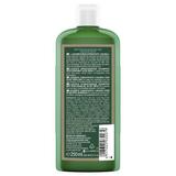 Shampooing hydratant aloé vera 250ml thumbnail