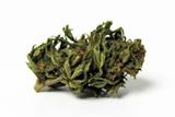 Fleurs CBD "STRAWBERRY" 9,37% / Outdoor France / 2g thumbnail
