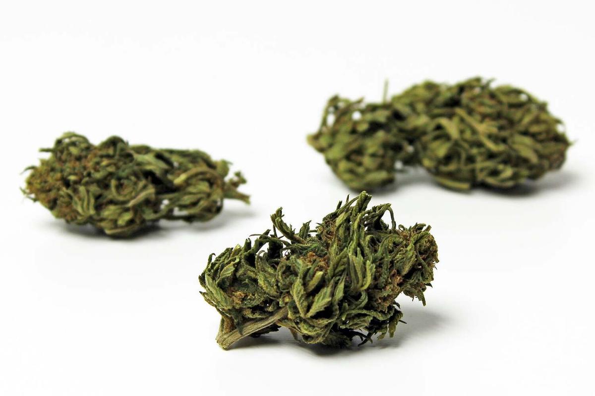 Fleurs CBD "STRAWBERRY" 9,37% / Outdoor France / 2g thumbnail