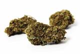 Mandarine (Indoor) - CBD 15,7% 2 Grammes thumbnail