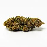 Orange Bud (Indoor) - CBD 15,5% 2 Grammes thumbnail