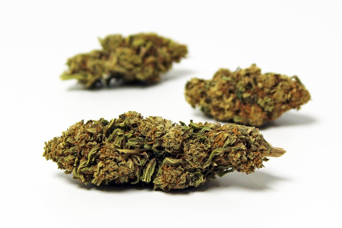Orange Bud (Indoor) - CBD 15,5% 2 Grammes thumbnail