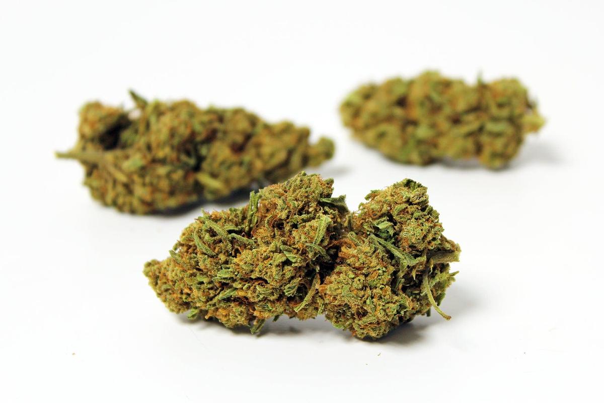 Royal Cheese (Glasshouse) - CBD 7,3% 2 Grammes thumbnail